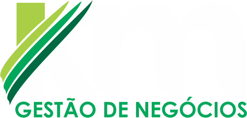 KM Gestão de Negócios